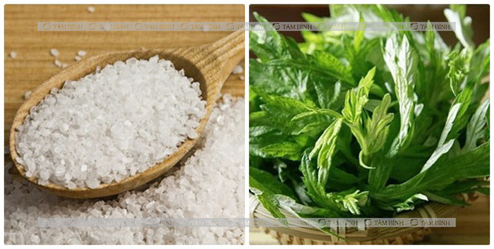 Ngải cứu