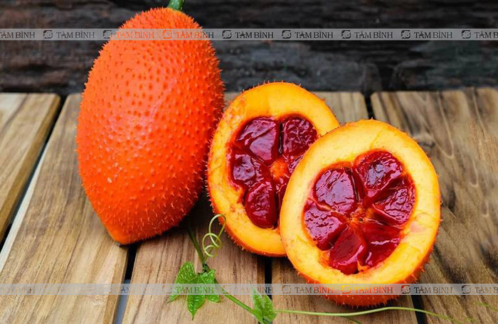 Gấc